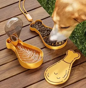 2 in 1 Pet Feeder