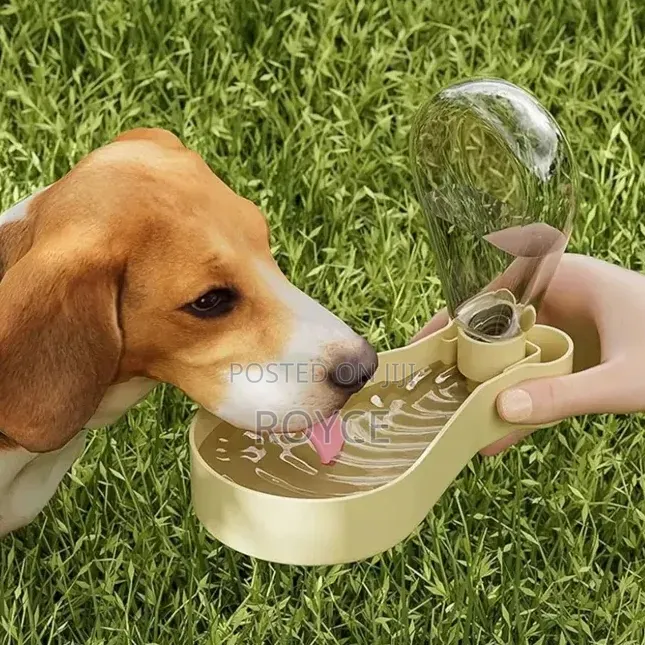 2 in 1 Pet Feeder