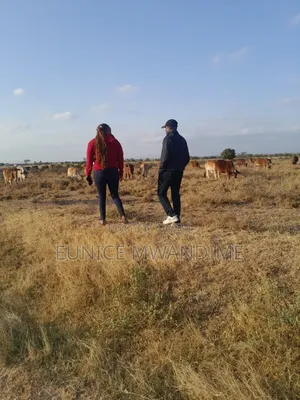 Selling Lands
