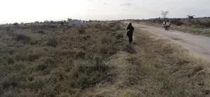Selling Lands