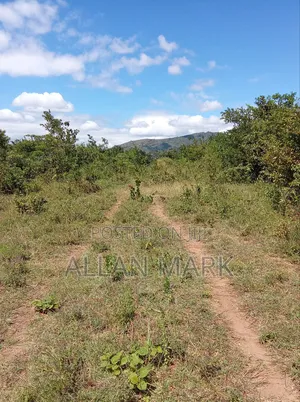 Makuyu Mananja