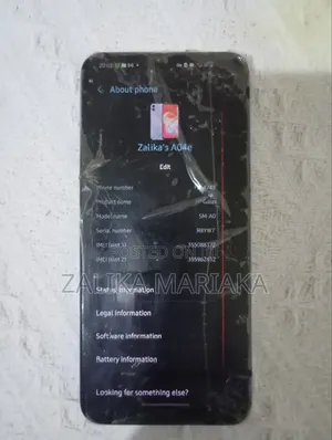 Samsung Galaxy A04e 64 GB Blue