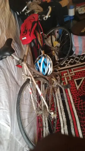 Mount Bicycle