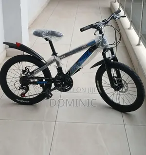 Bicycle Size 20 With 21 Gear