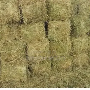 Hay Available in Large Scale Delivery Done Country Wide