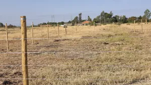 Jujafarm, Kwamurage, 50x100 Plots.