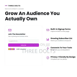 Email Newsletter Signup Website Design | Build Your List