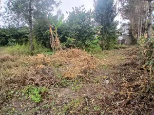 Prime Full 100 by 100 Plot in Karen View Matasia 150 Metres Off Tarmac