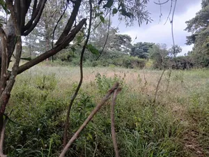 Quick Distress Deal! Eighth Acre Near SGR in Lower Merisho, Matasia