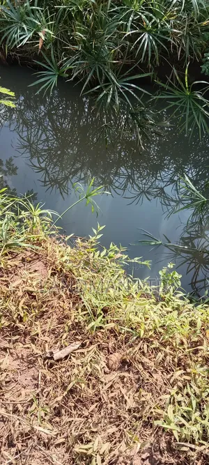 Prime 2acs Farm in Makuyu Muranga