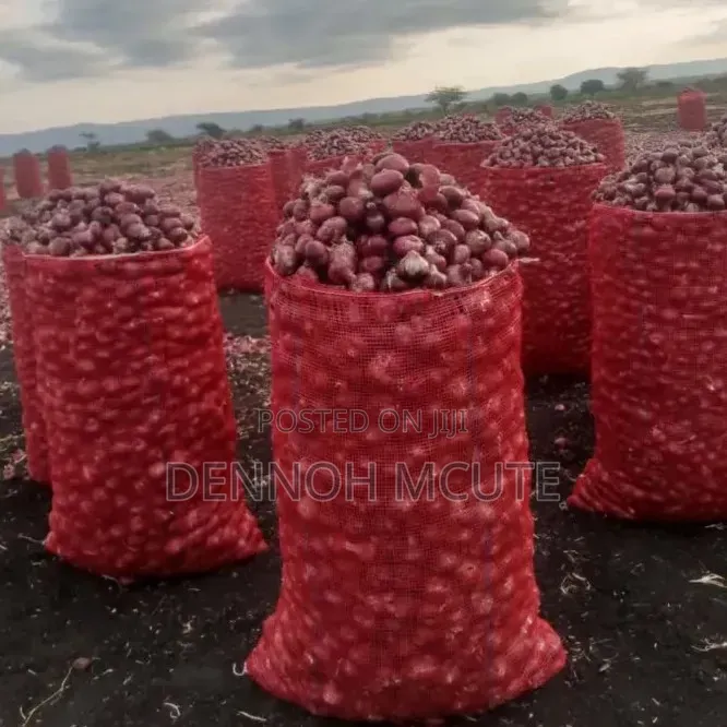 Red Bulb Onions Available From Tanzania