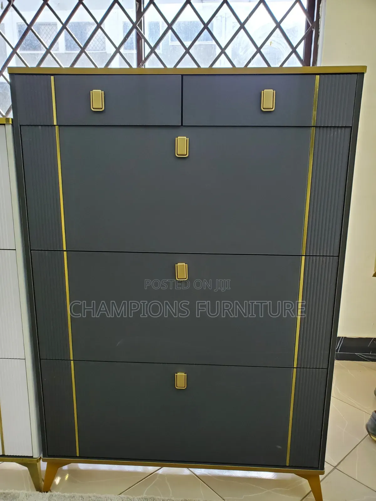 Dark Gray Shoe Rack