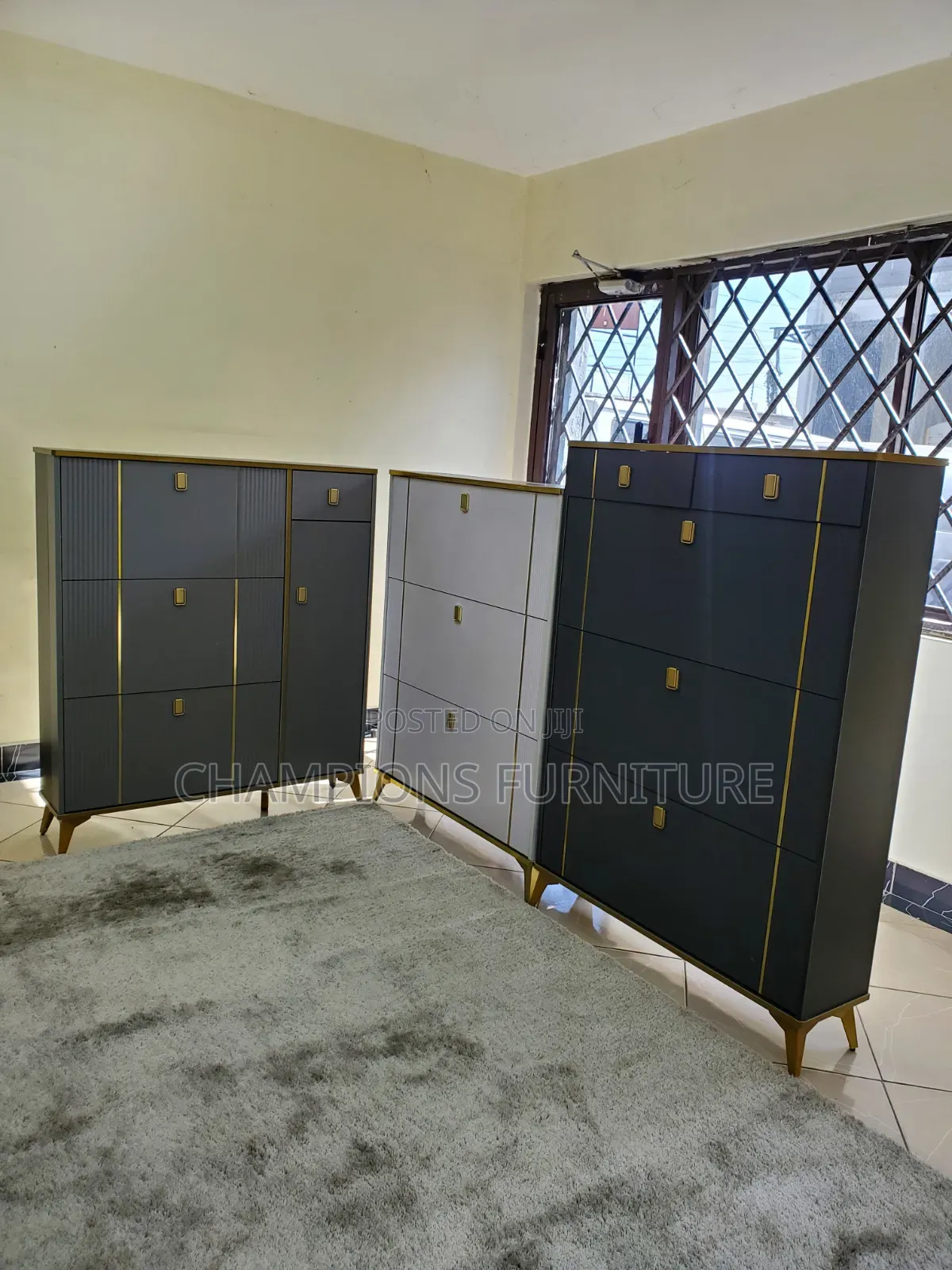 Dark Gray Shoe Rack