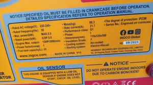 Ingco Gasoline Generator 5.5kva