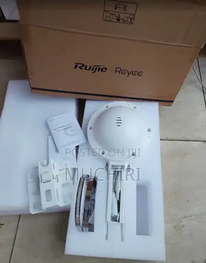 Ruijie Reyee Ax1800 Outdoor Omni-Directional Access Point