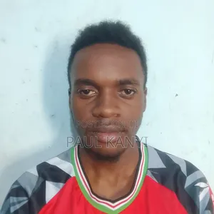 Paul Ngatia Kanyi
