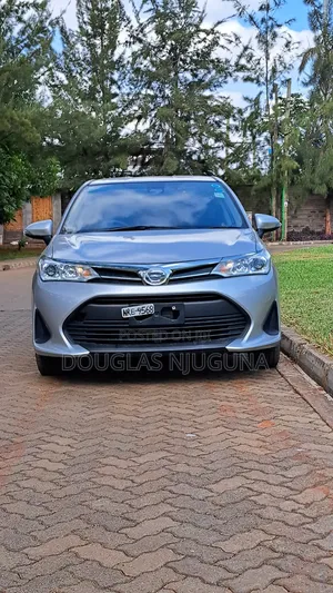 Toyota Corolla Fielder 2019 Silver