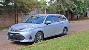 Toyota Corolla Fielder 2019 Silver