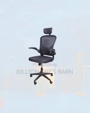 Practical Grey Ergonomic Office Chair With Headrest, Shared Office Use