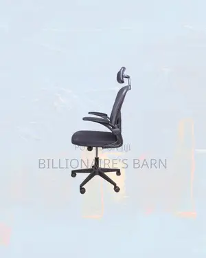 Practical Grey Ergonomic Office Chair With Headrest, Shared Office Use