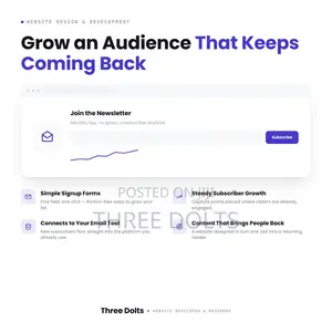 Website Design for Email Newsletter and Audience Growth