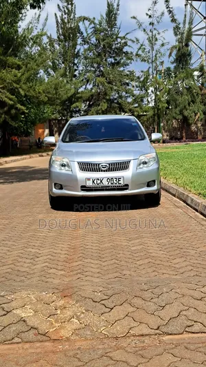 Toyota Axio 2009 Silver