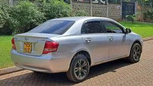 Toyota Axio 2009 Silver