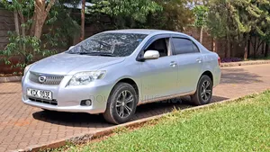 Toyota Axio 2009 Silver