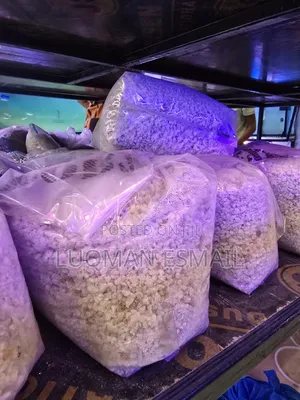 Aquarium White Pebbles