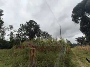 Residential Eighth Acre Plot for Sale in Ngong, Ol Keri Area
