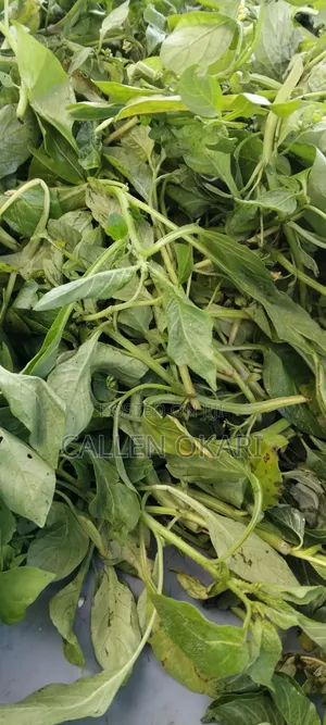 Fresh Farm Kienyeji