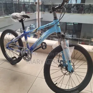 BMX Bike Size 20 Blue Red and Black