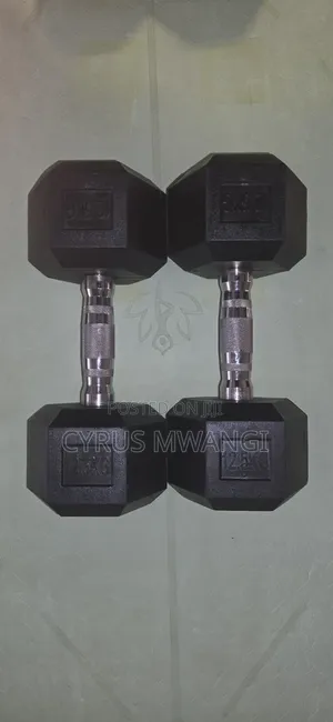 12.5 KGS Stainless Steel Dumbell Pair