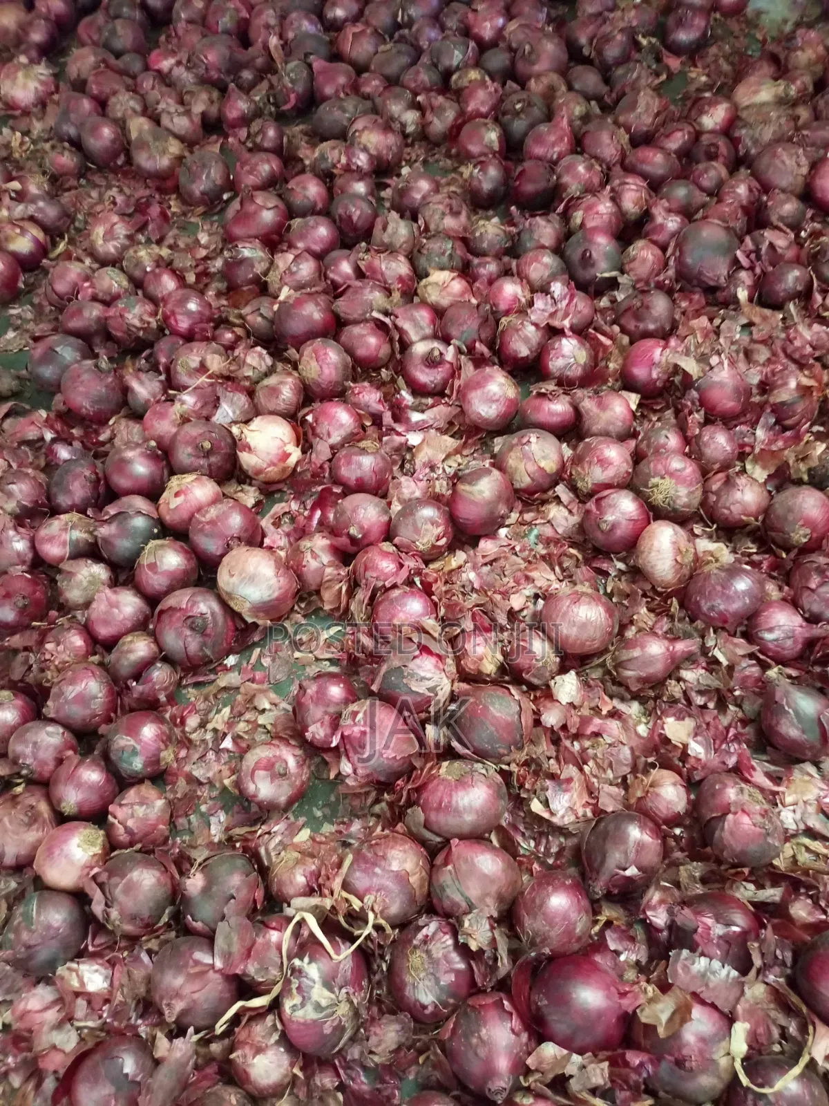 I Sell Fresh Farm Onions