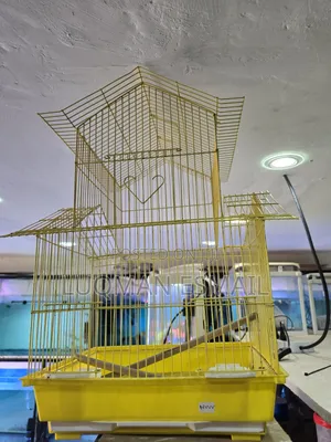 Bird Cages