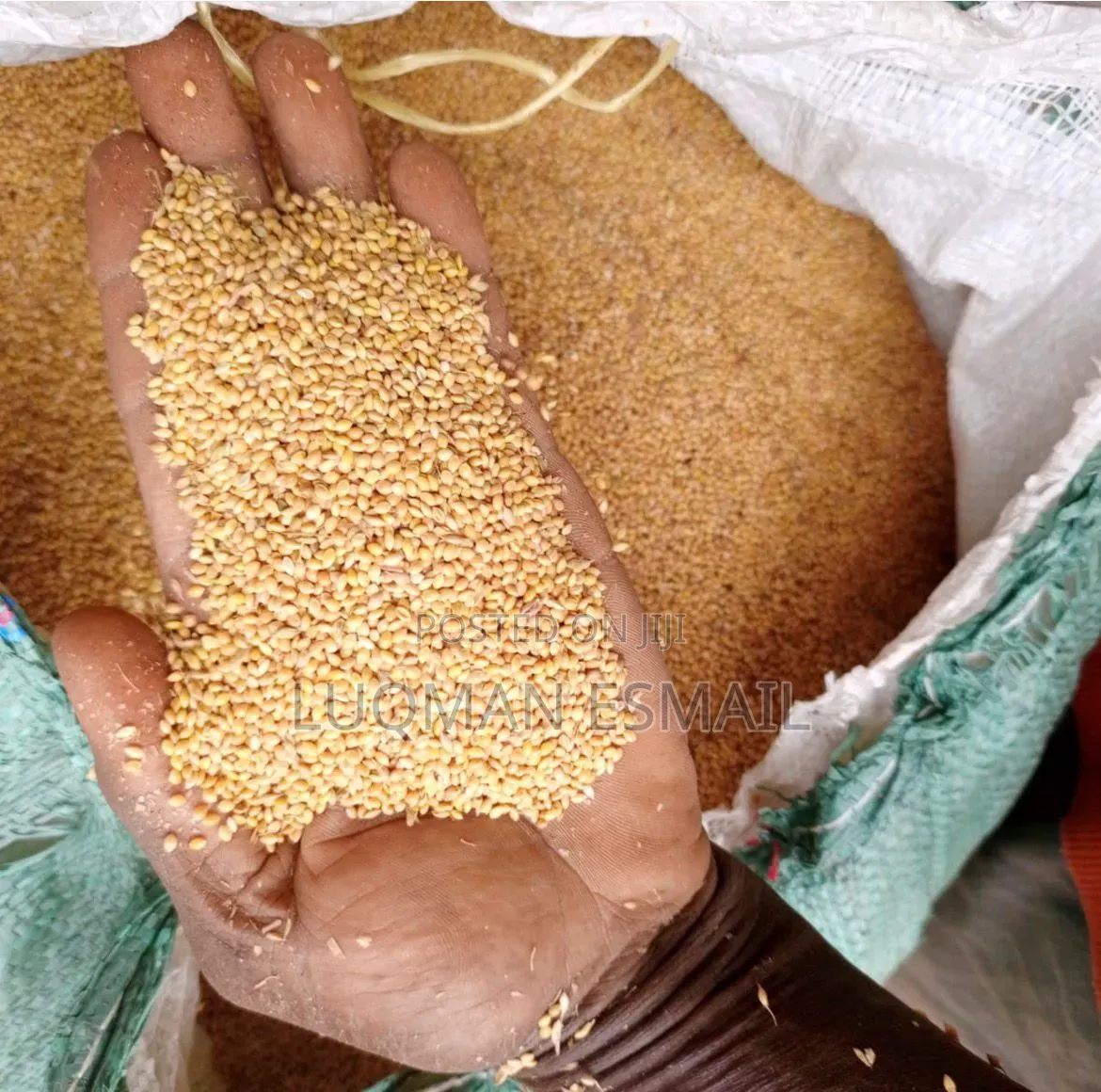 White Millet Available