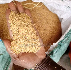 White Millet Available