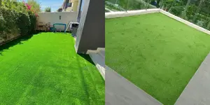 Quality Artificial Turf Carpet for Homes Apartments