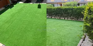 Synthetic Grass Carpet for Beautiful Compound Spaces