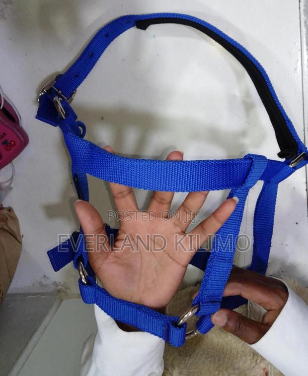 Cattle Halter - main view