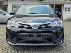 Toyota Axio 2019 Black