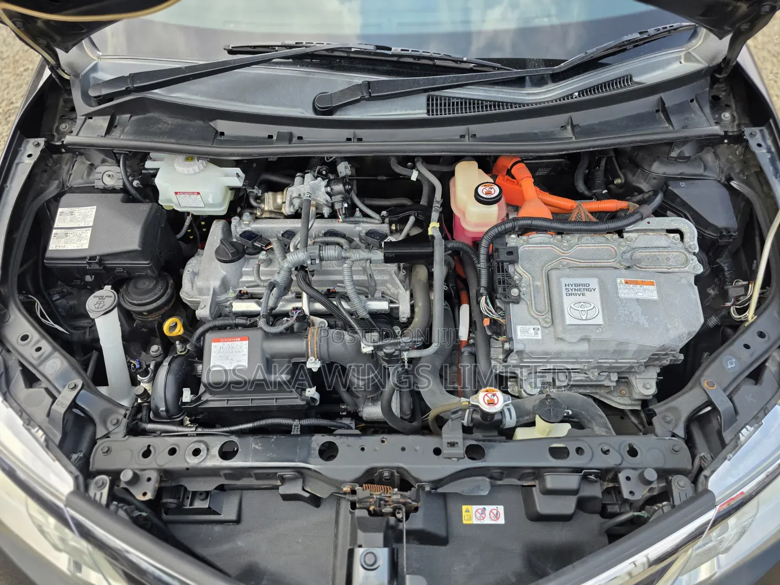 Toyota Axio 2019 Black