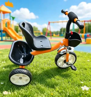 Executive Kids Tricycle With a Carrier