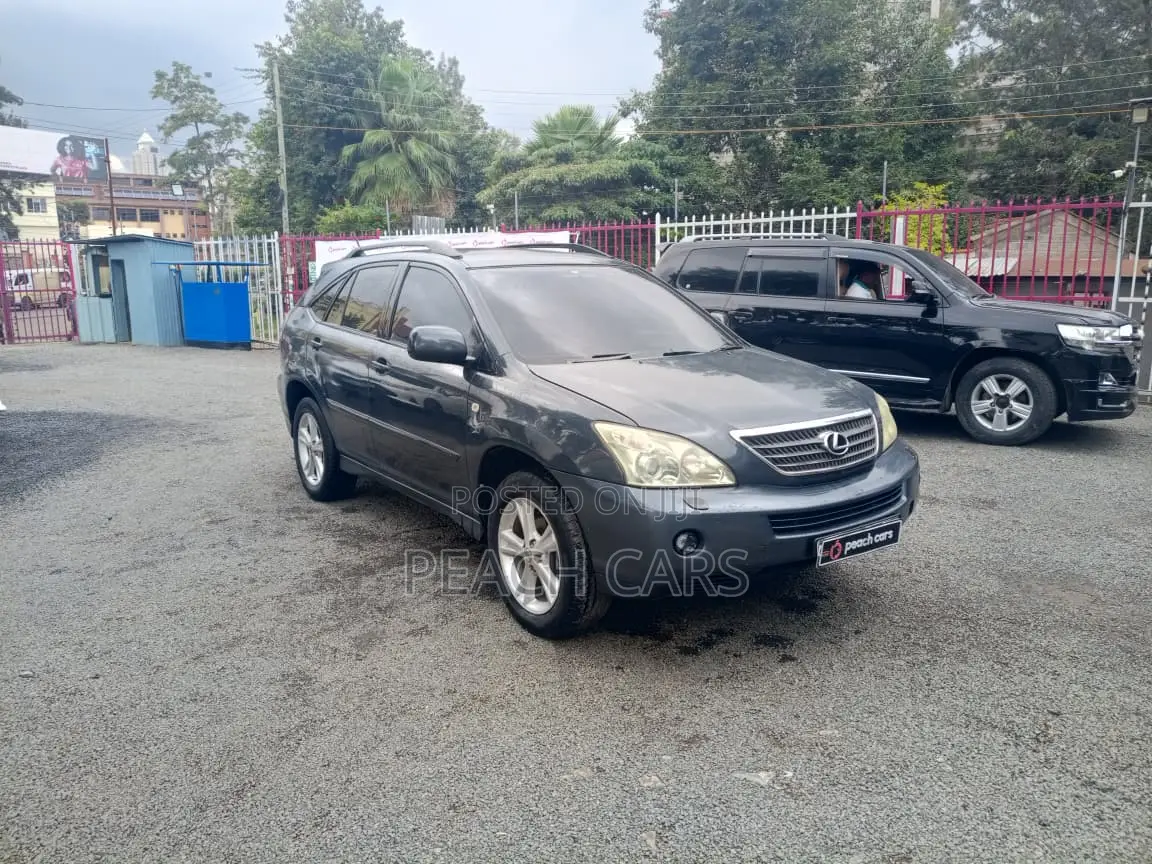 Lexus RX 2005 Gray