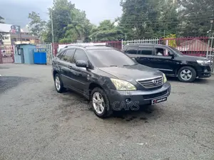 Lexus RX 2005 Gray