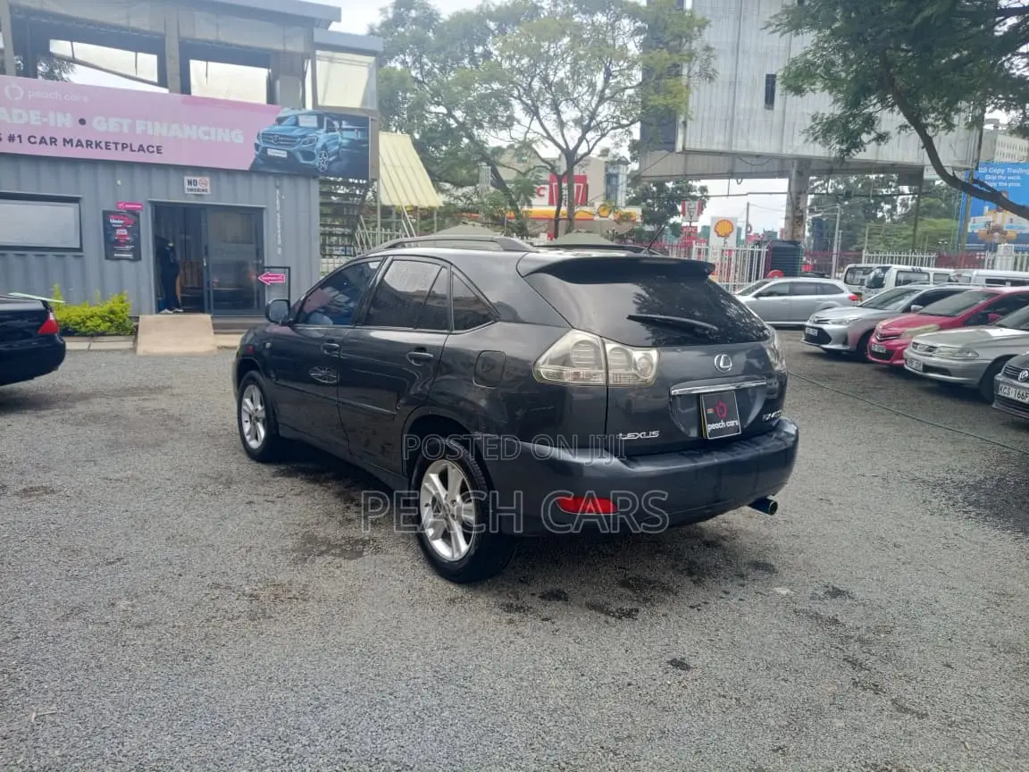 Lexus RX 2005 Gray
