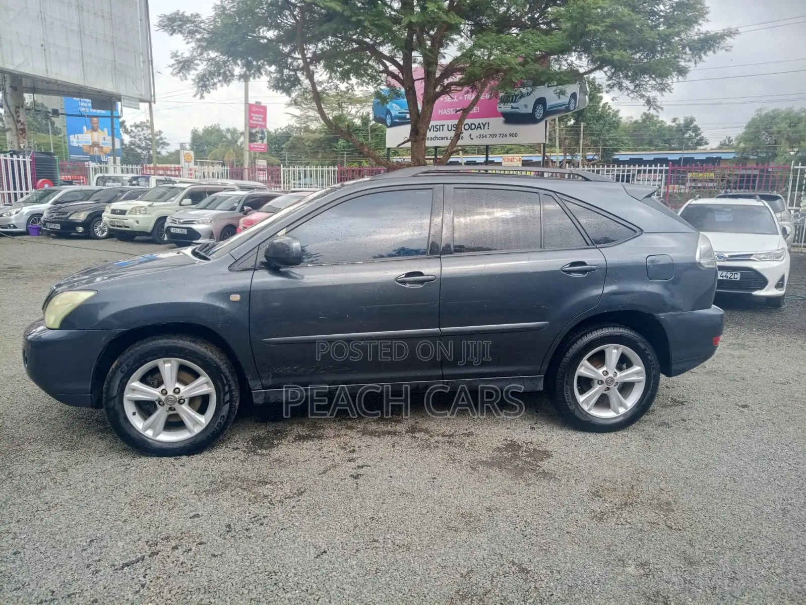 Lexus RX 2005 Gray