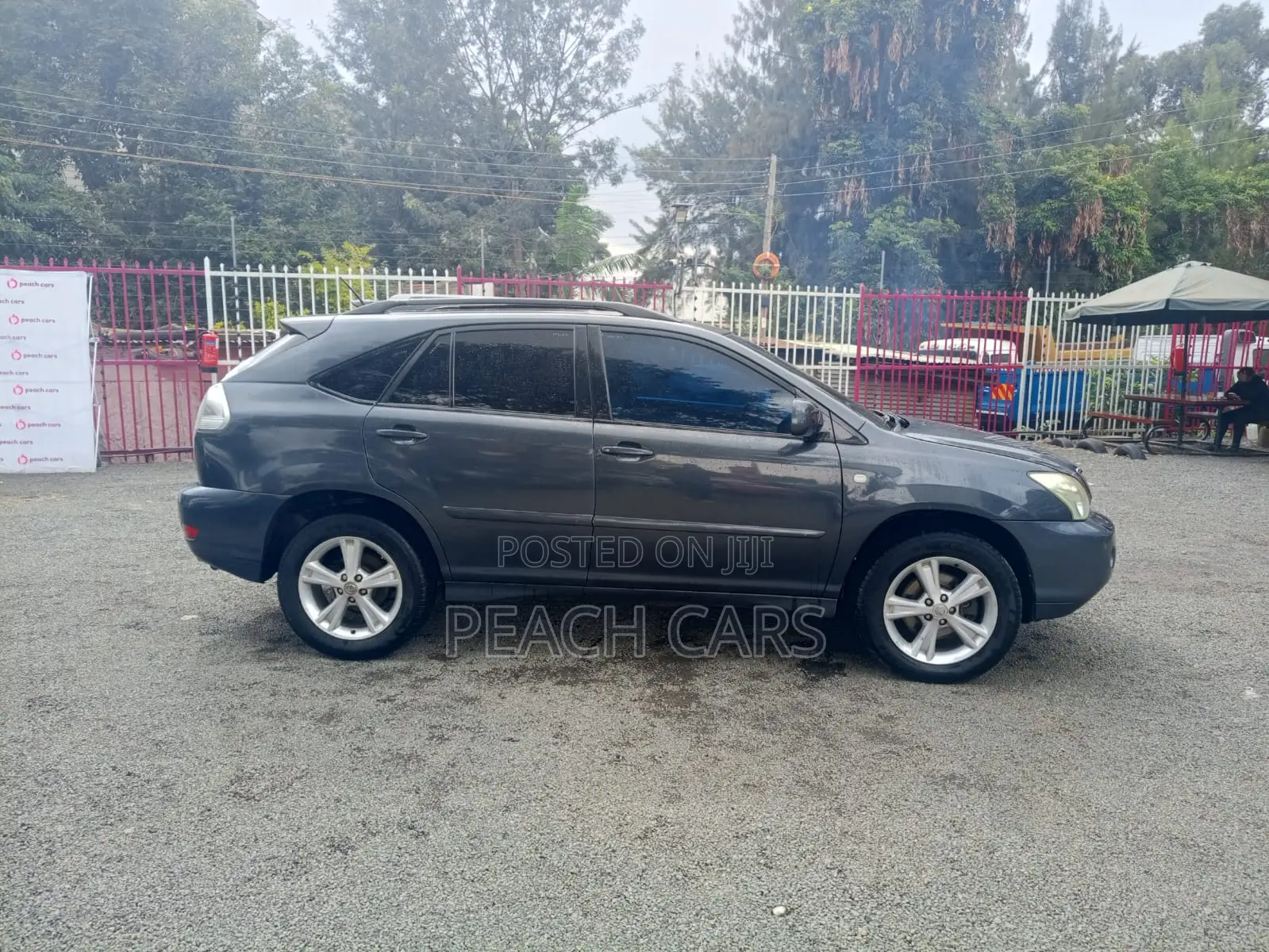 Lexus RX 2005 Gray