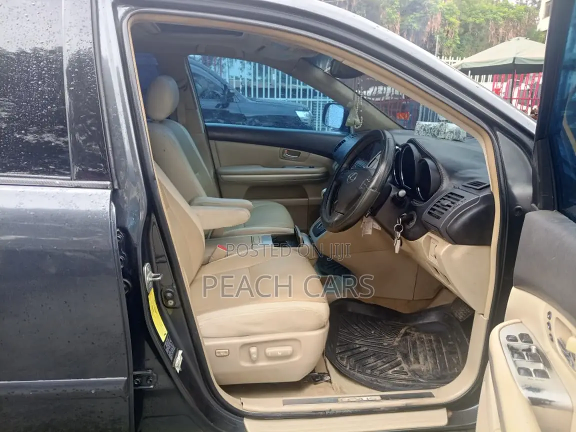 Lexus RX 2005 Gray
