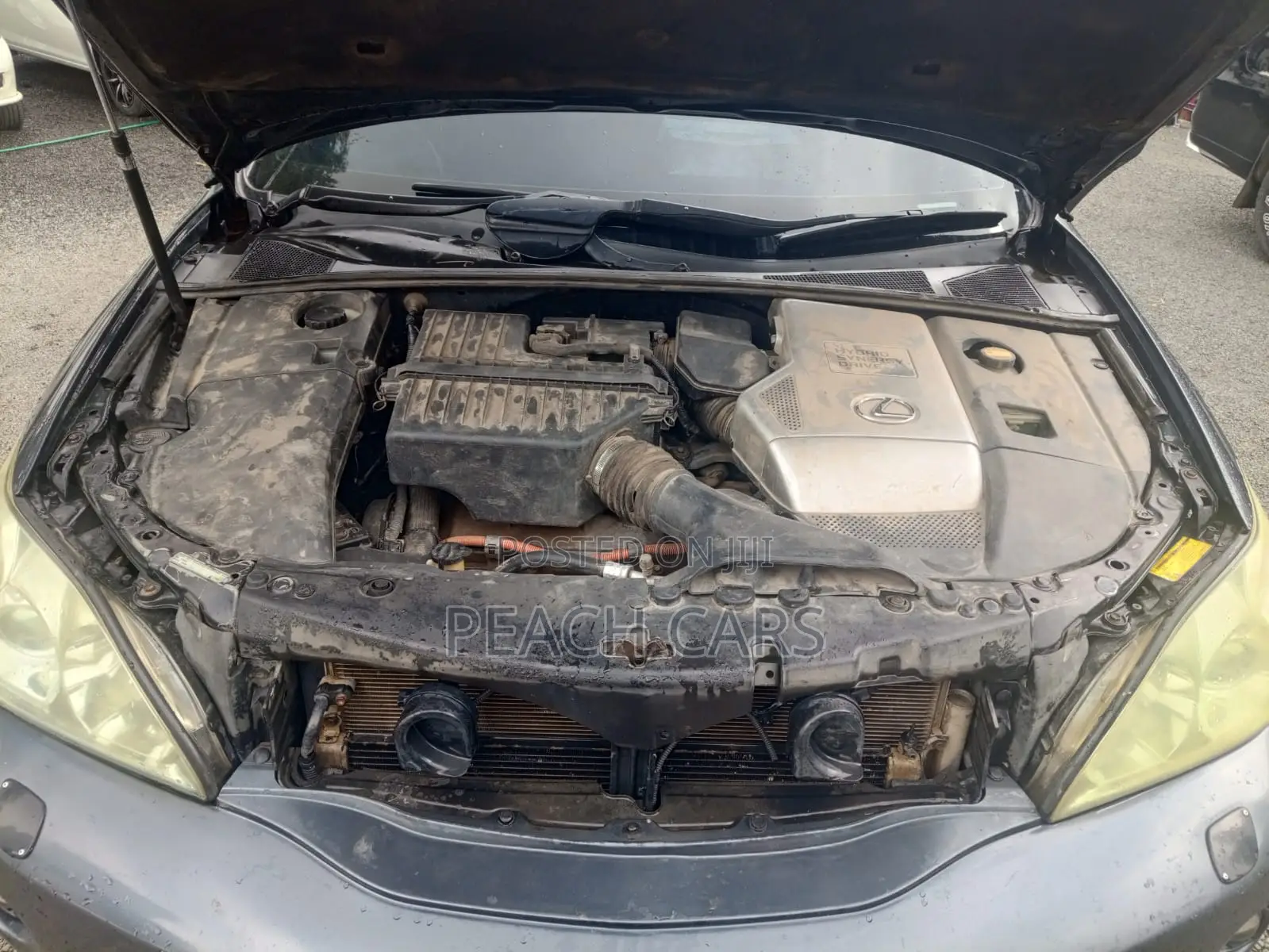 Lexus RX 2005 Gray